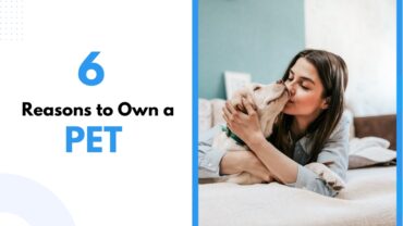 6 Reasons to Own a Pet