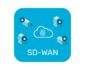 What Does SD-WAN Mean for Security Networking and Cloud Security?