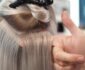 Transform Your Look Instantly: The Advantages of Hair Extensions with Clips