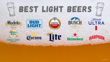 Best Light Beer – Discover the Best Light Beers for Every Palate