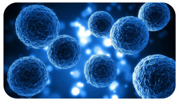 Understanding the Potential of Stem Cells in Combating Age-Related Decline