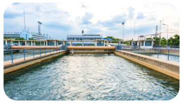 Purifying Solutions: Water Treatment and Chemical Supplies