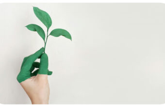 Beyond Greenwashing: Authentic Strategies for Businesses