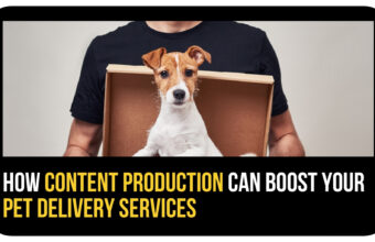 How Content Production Can Boost Your Pet Delivery Services in Dubai