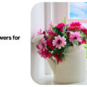 Reasons to Purchase Faux Flowers for Your Home