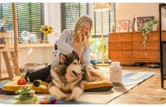 Heusom’s Insights on Redefining Pet Grooming Through Quiet Innovation