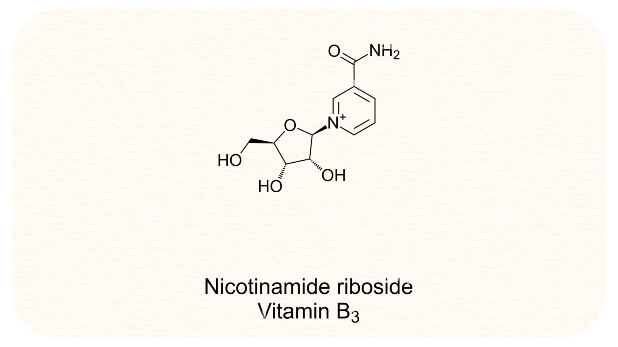 Can Nicotinamide Riboside (NR) Help Seniors Feel More Energized?