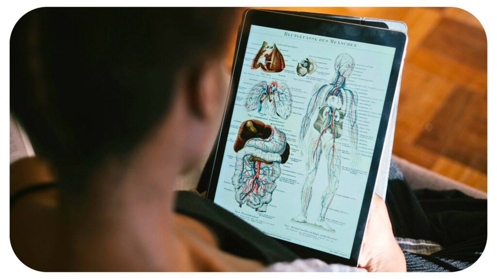 How to Pick the Right Educational Major That Aligns With Your Interests