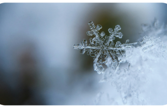 How You Could Make Your Home More Comfortable in the Winter