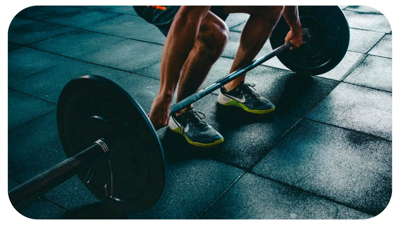 The Role of Growth Hormone in Muscle, Fat, and Metabolism