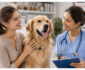 Your Guide to Finding the Best Veterinary Clinic in Dubai for Your Furry Friend