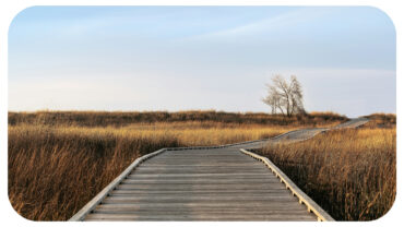 Derek Maxfield Talks Mentoring the Next Generation of Leaders and Lessons in Leadership