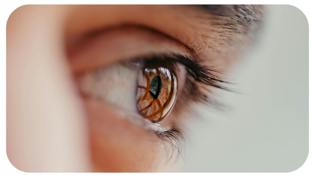 Close up of a healthy human eye with clear vision detail representing eyesight clarity eye health visual focus and vision care awareness in the South Atlantic region.