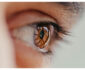 Eyesight Clarity Statistics in the South Atlantic Region of the U.S.